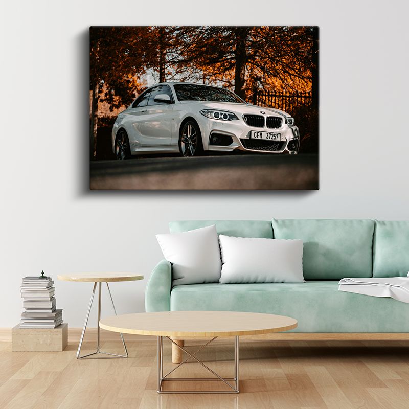 BMW 2 Serisi - Sonbahar Manzarasında Spor Coupe Kanvas Tablo