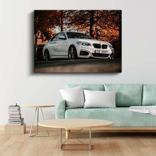 BMW 2 Serisi - Sonbahar Manzarasında Spor Coupe Kanvas Tablo