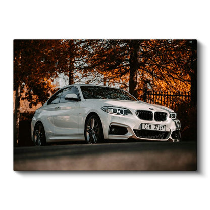 BMW 2 Serisi - Sonbahar Manzarasında Spor Coupe Kanvas Tablo