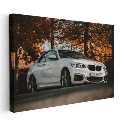 BMW 2 Serisi - Sonbahar Manzarasında Spor Coupe Kanvas Tablo