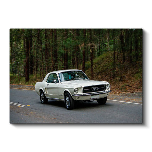 Ford Mustang 1967 - Orman Yolunda Amerikan Klasiği Kanvas Tablo