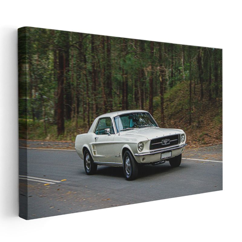 Ford Mustang 1967 - Orman Yolunda Amerikan Klasiği Kanvas Tablo