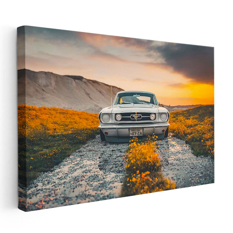 Yatay Kanvas Tablo 1966 Ford Mustang Klasik Kasa Doğa Manzarası Ford Tablosu Ev Ofis Duvar Dekoru