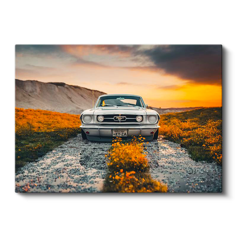 Yatay Kanvas Tablo 1966 Ford Mustang Klasik Kasa Doğa Manzarası Ford Tablosu Ev Ofis Duvar Dekoru