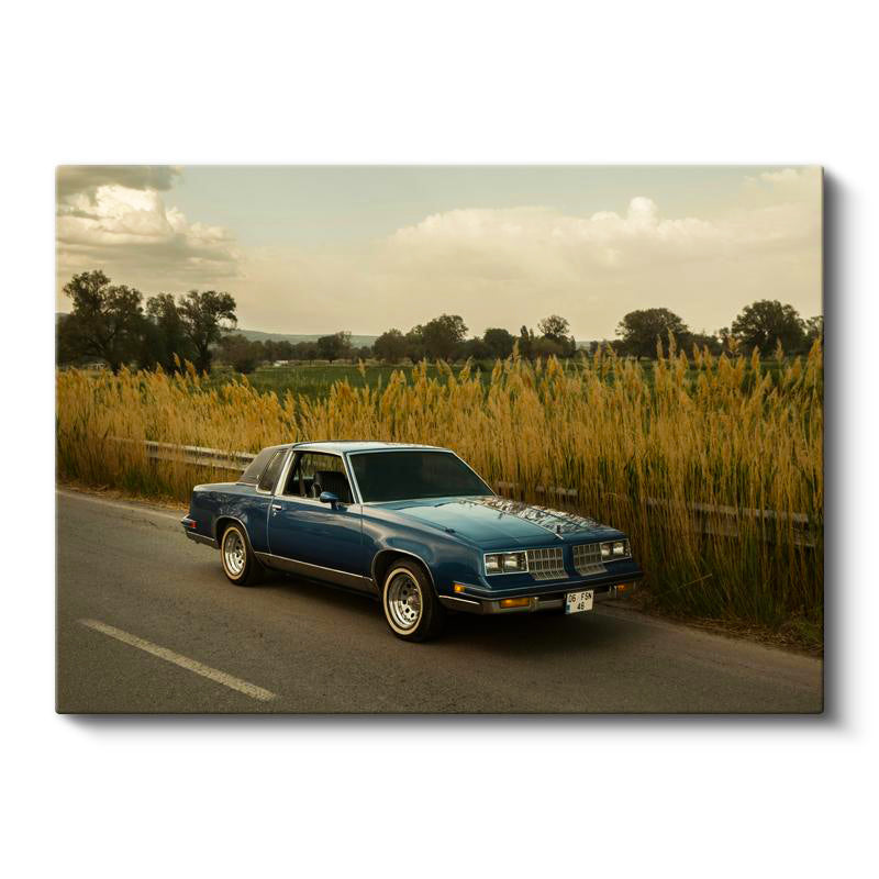 Yatay Kanvas Tablo Sazlıklı Yolda Klasik Amerikan Otomobili Araba Tablosu Ev Ofis Duvar Dekoru