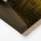 Yatay Kanvas Tablo Sazlıklı Yolda Klasik Amerikan Otomobili Araba Tablosu Ev Ofis Duvar Dekoru