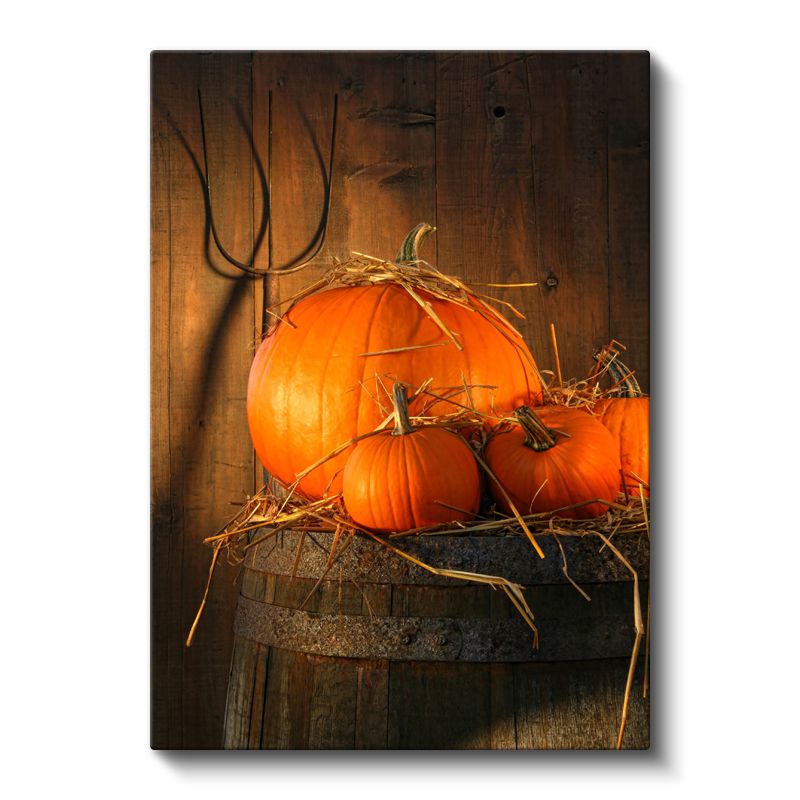 Hasat Zamanı - Balkabakları Kanvas Tablo