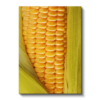 Doğal Lezzet - Taze Mısır Kanvas Tablo