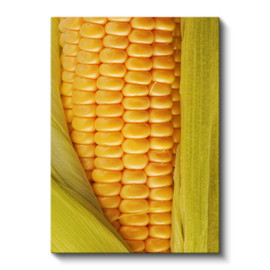 Doğal Lezzet - Taze Mısır Kanvas Tablo