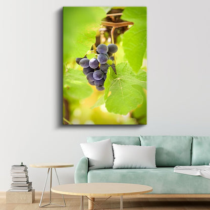 Üzüm Salkımı - Bağbozumu Lezzeti Kanvas Tablo