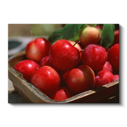 Kırmızı Elmalar - Ahşap Sepette Taze Meyveler Kanvas Tablo