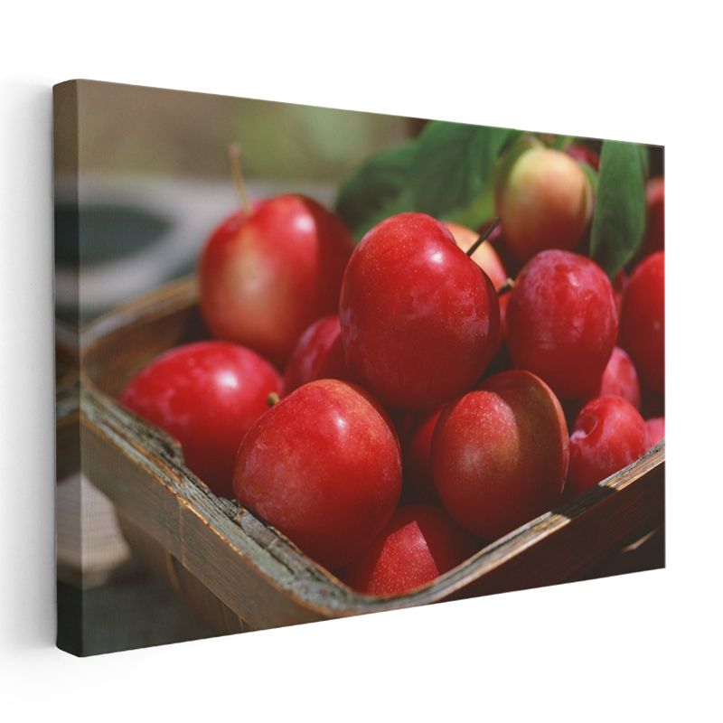 Kırmızı Elmalar - Ahşap Sepette Taze Meyveler Kanvas Tablo