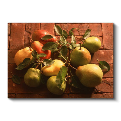 Armut Çeşitleri - Doğal Bahçe Ürünleri Kanvas Tablo
