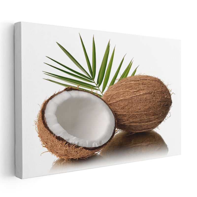 Hindistan Cevizi - Tropikal Lezzet Deneyimi Kanvas Tablo