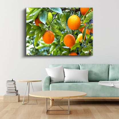 Portakal Ağacı - Taze Narenciye Bahçesi Kanvas Tablo