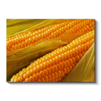 Altın Mısır - Taze Hasat Kanvas Tablo
