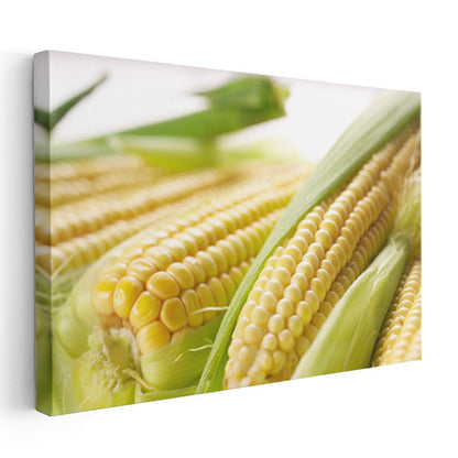 Taze Mısır - Altın Sarısı Koçanlar Kanvas Tablo