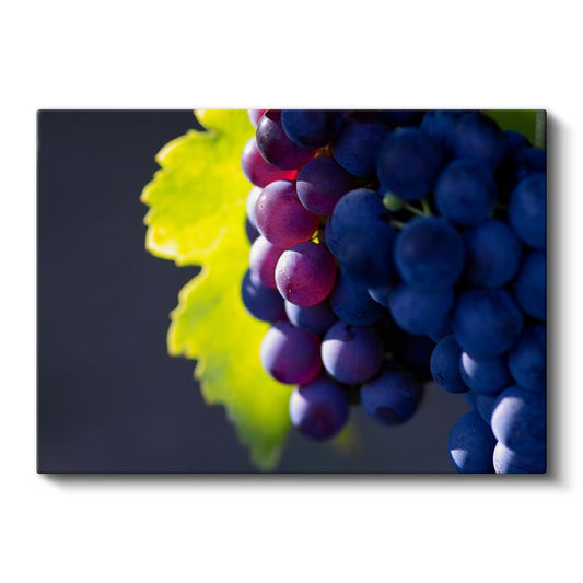 Üzüm Salkımı - Bağbozumu Meyvesi Kanvas Tablo