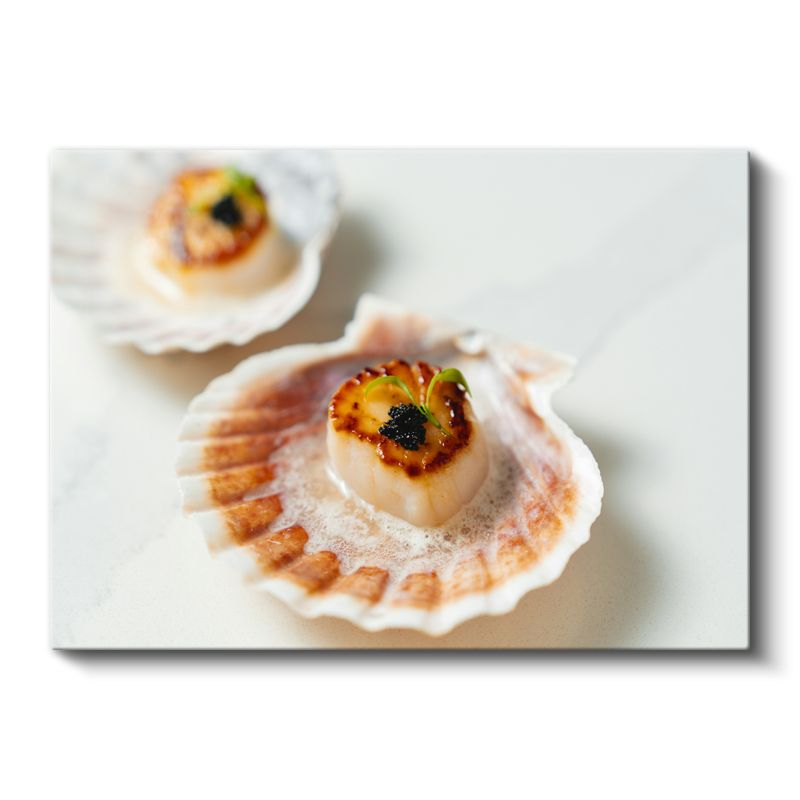 Deniz Tarağı - Gurme Deniz Ürünleri Kanvas Tablo